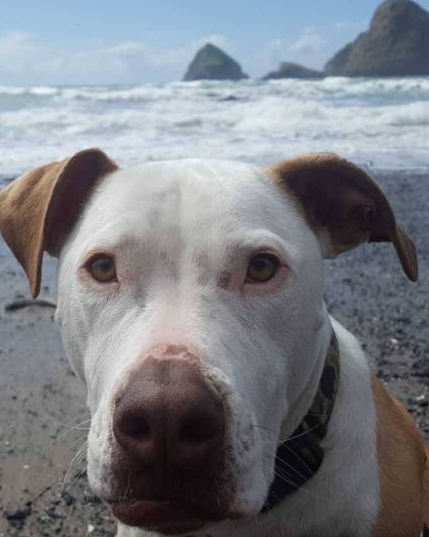 Hudson